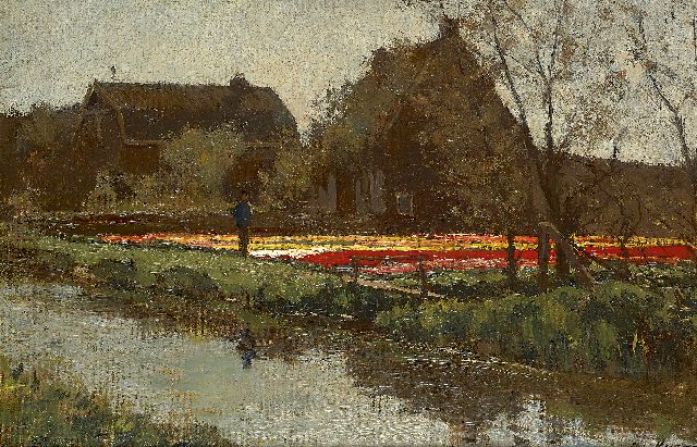 Koster A.L.  | Tulip fields in spring, oil on canvas laid down on board 29.8 x 43.7 cm, signed l.r.