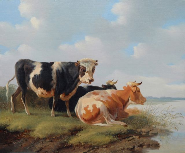 Verhoesen A.  | A bull and cows near the water, oil on panel 27.9 x 33.7 cm, signed l.l. and painted 1856