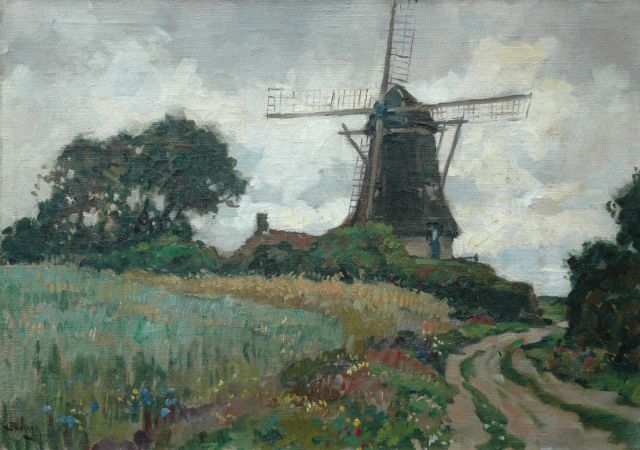 Viegers B.P.  | A view of the windmill 'De Duif' in Nunspeet, oil on canvas 50.3 x 70.2 cm, signed l.l.