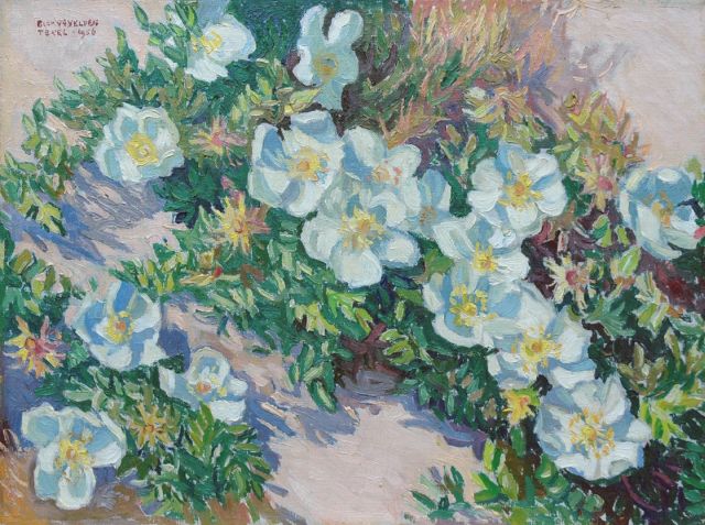 Blok van der Velden A.D.  | Scotch roses, oil on canvas 30.4 x 40.2 cm, signed u.l. and dated 'Texel 1956'