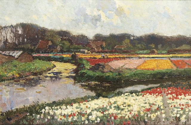Ben Viegers | Flowering tulip fields, oil on canvas, 40.0 x 60.2 cm, signed l.r.