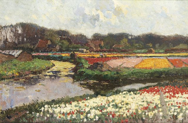 Viegers B.P.  | Flowering tulip fields, oil on canvas 40.0 x 60.2 cm, signed l.r.