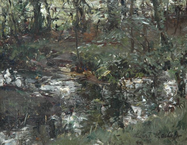 Roelofs O.W.A.  | Ducks in a pond, oil on panel 13.9 x 18.0 cm, signed l.r.