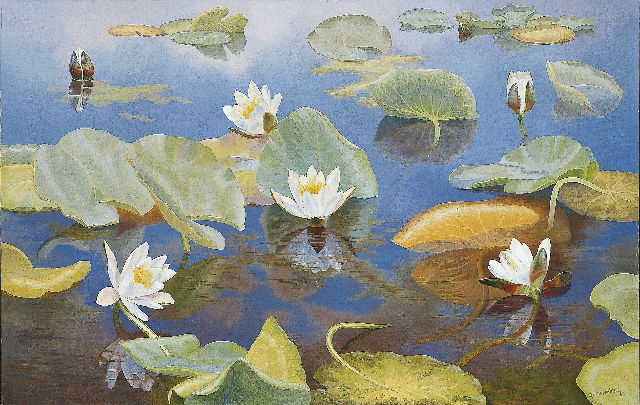 Dirk Smorenberg | Water lilies, oil on canvas, 64.8 x 100.3 cm, signed l.r.