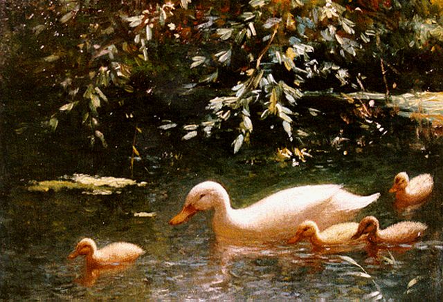 Constant Artz | Duck with ducklings, oil on panel, 18.0 x 23.9 cm, signed l.r.