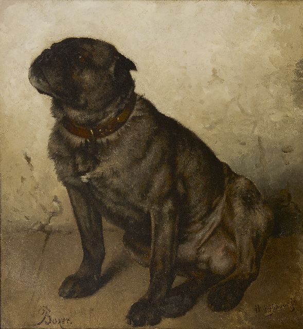 Verschuur jr. W.  | A Boxer, oil on canvas 53.4 x 49.2 cm, signed l.r.