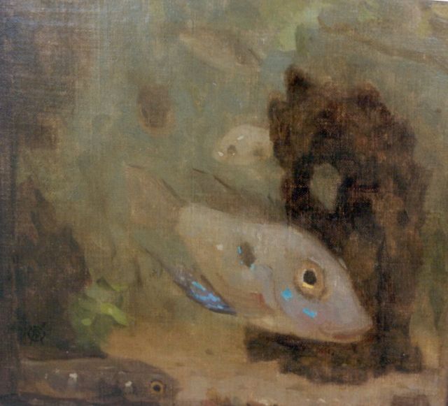 Dijsselhof G.W.  | Globefish, oil on canvas laid down on panel 17.6 x 18.5 cm, signed l.l.