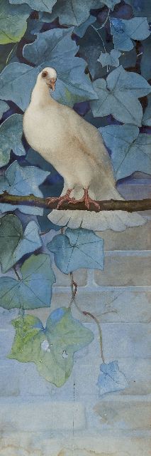 Beb Reith | Pigeon  (Daytime), watercolour on paper, 66.0 x 23.0 cm, signed on the reverse