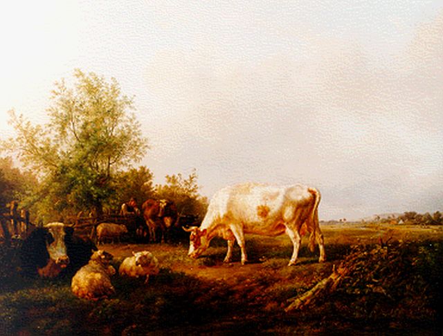 Jan Bedijs Tom | Cows in summer landscape, oil on canvas, 79.5 x 100.3 cm, signed l.l.