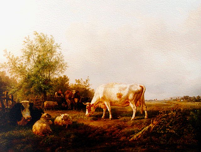 Tom J.B.  | Cows in summer landscape, oil on canvas 79.5 x 100.3 cm, signed l.l.