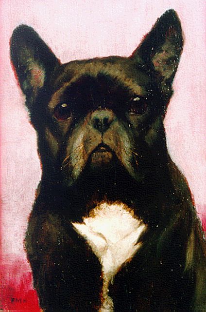 Hollams F.M.  | A French Bulldog, oil on panel 24.3 x 16.2 cm, signed l.l. with initials