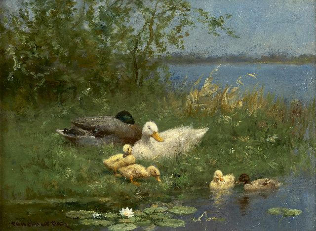 Constant Artz | Ducks and ducklings near the water's edge, oil on panel, 18.1 x 24.2 cm, signed l.l.