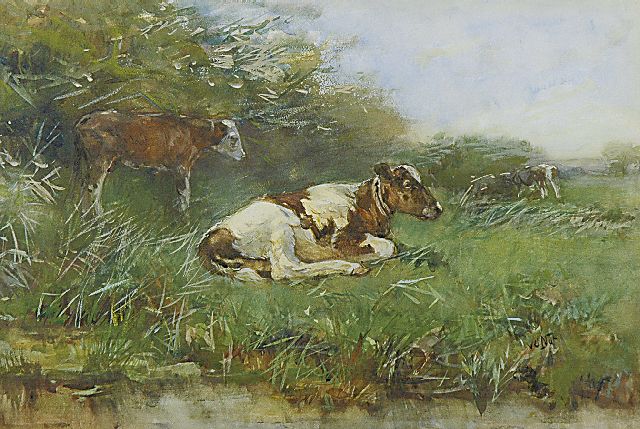 Willem van der Nat | Calfs in a pasture, watercolour on paper, 33.3 x 49.6 cm, signed l.r.