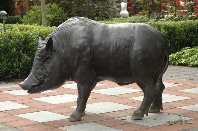 Onbekend | A wild boar, bronze, 76.0 x 37.0 cm