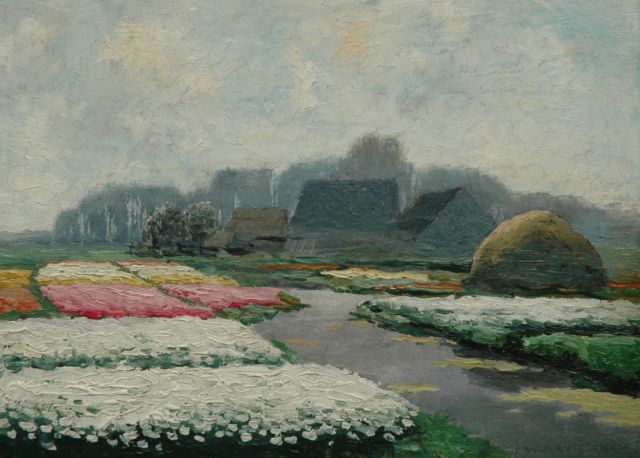 Willem Abraham Wassenaar | Farmhouse with bulb fields, oil on board, 22.0 x 30.1 cm, signed l.r.