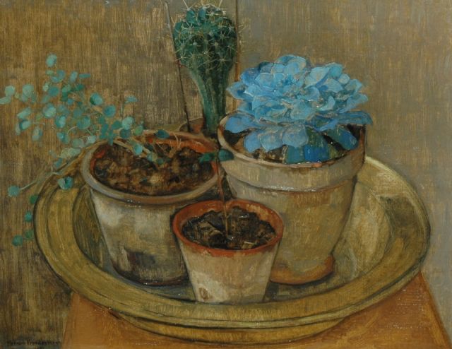 Vreedenburgh H.  | A still life with cactusses, oil on canvas 40.7 x 51.5 cm, signed l.l. and dated 1922