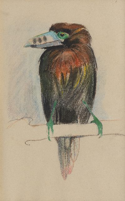 Greta Bruigom | A toucan, chalk and watercolour on paper, 43.6 x 29.3 cm