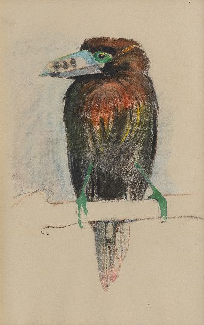 Bruigom M.C.  | A toucan, chalk and watercolour on paper 43.6 x 29.3 cm