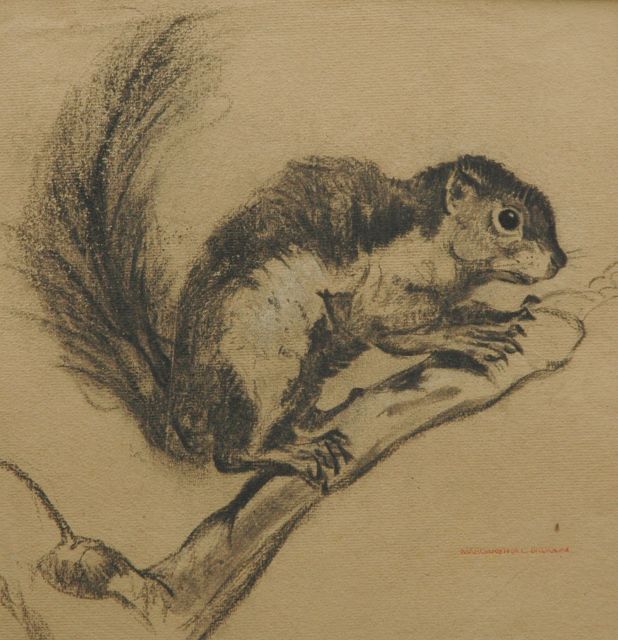 Bruigom M.C.  | Chipmunk, black chalk on paper 30.8 x 30.6 cm, signed l.r. with artist's stamp