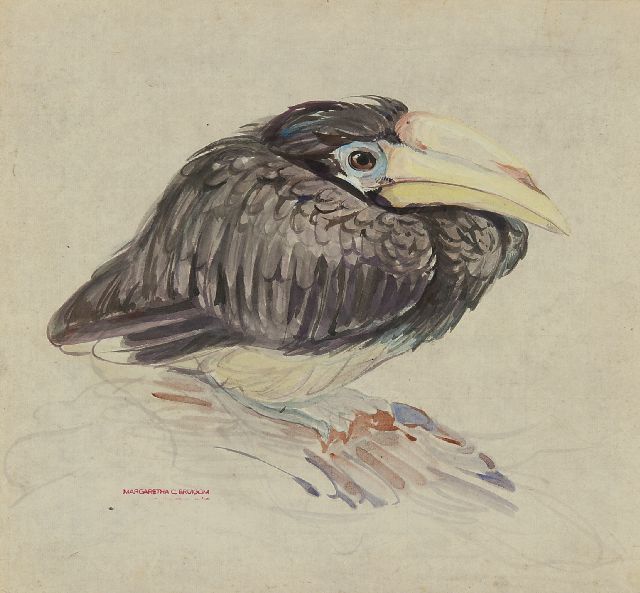 Greta Bruigom | A young hornbill, watercolour on paper, 32.4 x 35.5 cm, signed l.l. with the artist's stamp