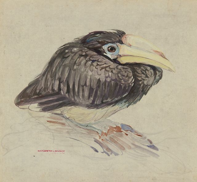 Bruigom M.C.  | A young hornbill, watercolour on paper 32.4 x 35.5 cm, signed l.l. with the artist's stamp