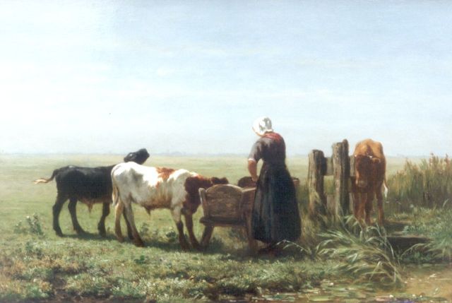 Haas J.H.L. de | A bull in a meadow, oil on canvas 35.0 x 50.0 cm