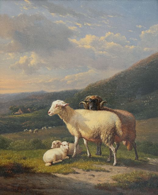 Severdonck F. van | Sheep in a hilly landscape, oil on panel 30.8 x 25.8 cm