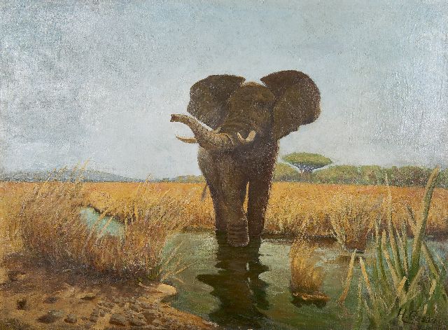 Gezda H.  | A wading elephant, oil on canvas 70.6 x 93.0 cm, signed l.r. and dated '93  [1893]