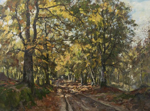 Jan van Vuuren | In the Leuvenum forest, oil on canvas, 75.5 x 100.5 cm, signed l.r.