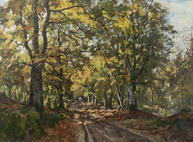 Vuuren J. van | In the Leuvenum forest, oil on canvas 75.5 x 100.5 cm, signed l.r.