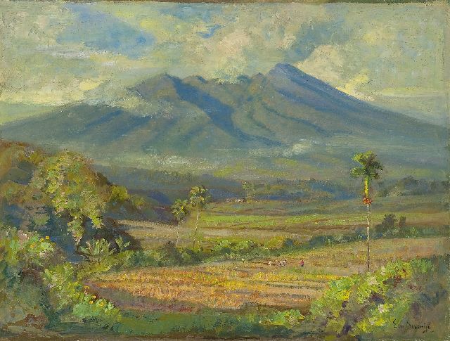 Dezentjé E.  | Sawahs, Indonesia, oil on board 37.5 x 49.5 cm, signed l.r.