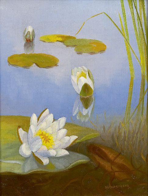 Dirk Smorenberg | Waterlilies, oil on canvas, 32.2 x 25.2 cm, signed l.r.