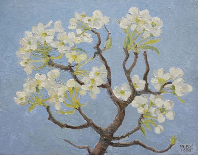 Briedé J.  | Pearblossom, oil on board 25.1 x 31.8 cm, signed l.r. and dated 1958