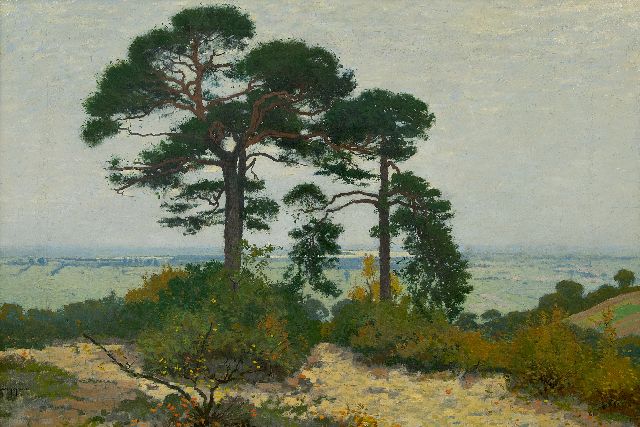 Derk Wiggers | A view of the Ooijpolder with pinetrees, oil on canvas, 51.3 x 73.3 cm, signed l.l