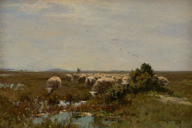 Steelink jr. W.  | Grazing sheep on the heathland, oil on canvas 33.1 x 48.0 cm, signed l.r.