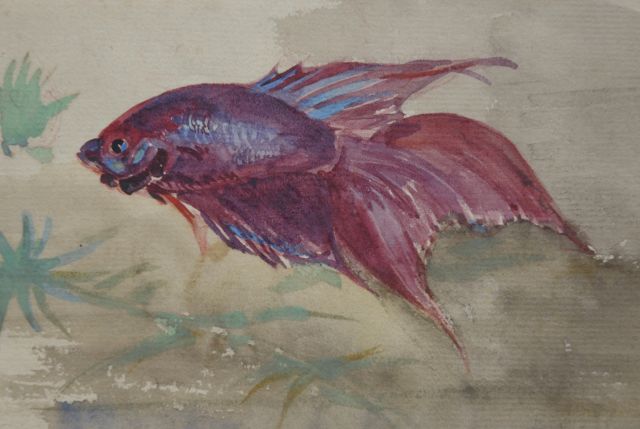 Bruigom M.C.  | Fish, watercolour on paper 8.6 x 12.7 cm