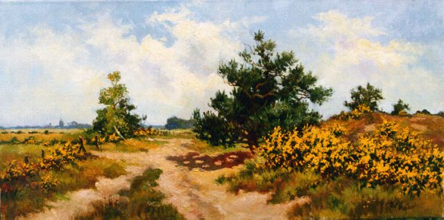 Henk Poeder | A heath landscape, oil on canvas, 40.0 x 80.0 cm, signed l.r.