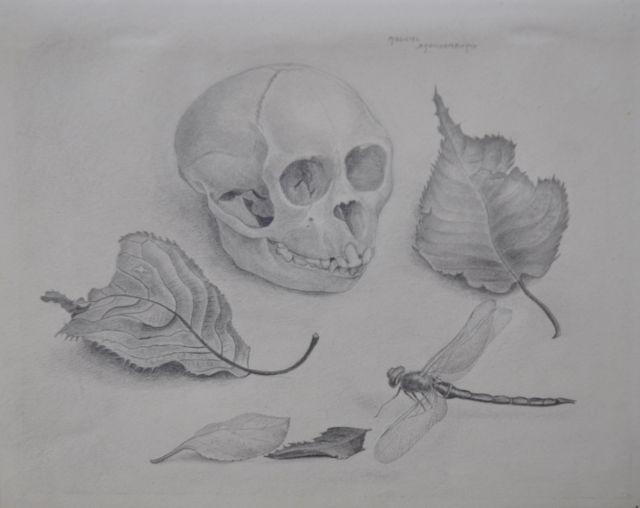 Machiel Brandenburg | A monkey's skull, pencil on paper, 19.9 x 25.0 cm, signed u.r. and dated 1945 on the reverse