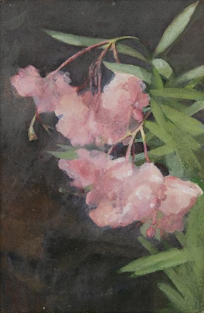 Marie Heineken | Oleander, watercolour on paper, 45.6 x 30.2 cm