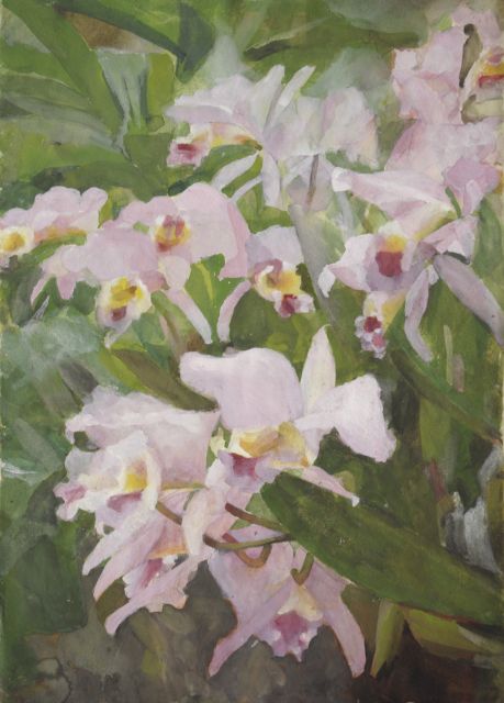 Marie Heineken | Orchids, watercolour on paper, 50.6 x 35.5 cm