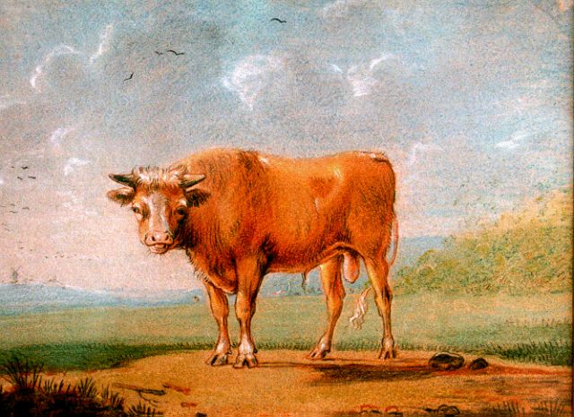 Verboeckhoven E.J.  | Bull in a landscape, pastel on paper 12.8 x 16.5 cm, signed c.r. and dated 1817