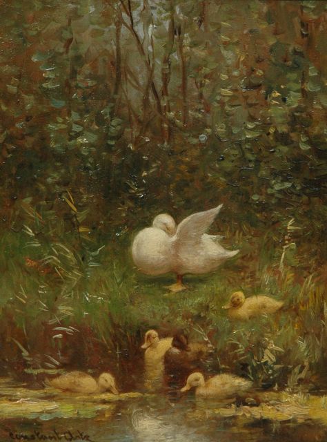 Constant Artz | Duck with ducklings watering, oil on panel, 24.0 x 18.0 cm, signed l.l.