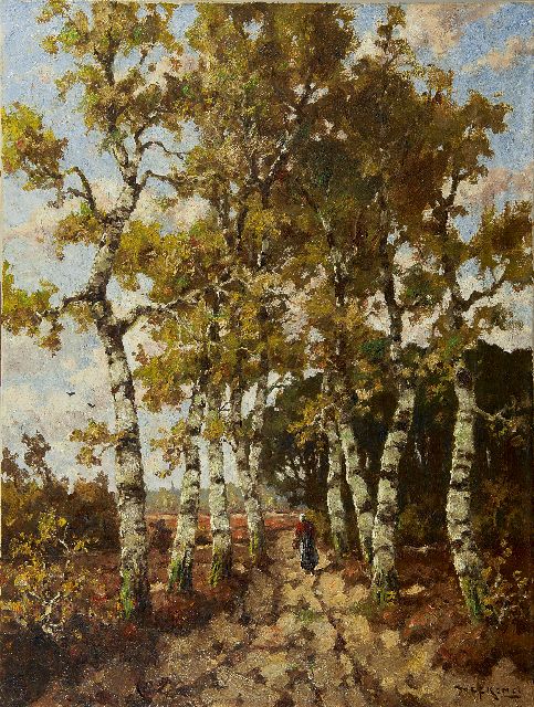 Martinus Nefkens | A beech forest path, oil on canvas, 80.2 x 60.5 cm, signed l.r.