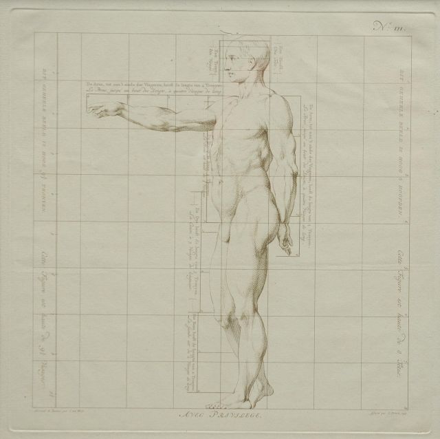 Wit J. de | The ideal proportions of the human body - Male (no.III), etching on paper 40.0 x 40.0 cm