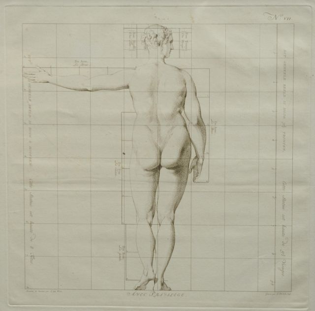 Wit J. de | The ideal proportions of the human body - Woman (no.VII), etching on paper 40.0 x 40.0 cm