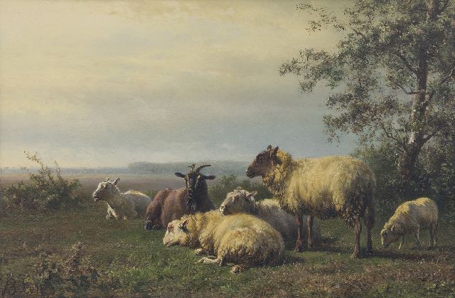 Jan Bedijs Tom | Sheep and a goat in a meadow (only together with pendant), oil on panel, 19.9 x 29.4 cm, signed l.l.