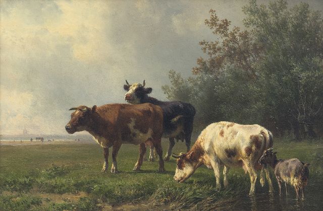 Tom J.B.  | Grazing cows (only together with pendant), oil on panel 19.7 x 29.4 cm, signed l.l.