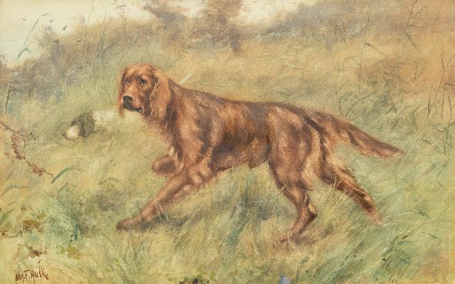 John Hulk jr. | Irish Setter, watercolour on paper, 40.0 x 63.5 cm, signed l.l.