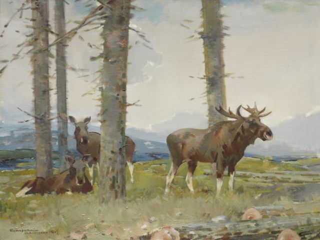 Piet van der Hem | Elks near Alkvettern, Zweden, oil on canvas, 60.5 x 80.5 cm, signed l.l.