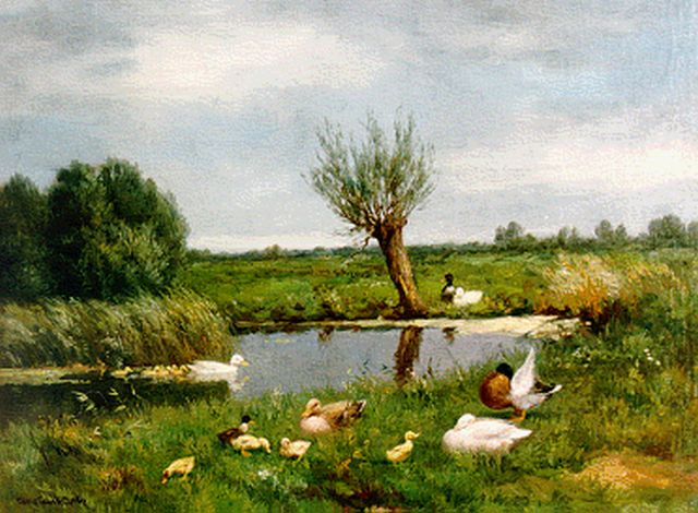 Constant Artz | Ducks with ducklings on the riverbank, oil on canvas, 30.5 x 40.5 cm, signed l.l.